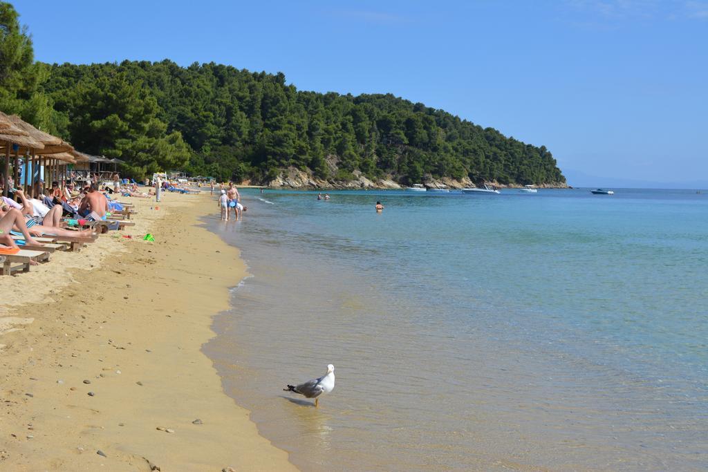Ostria Aparthotel Agia Paraskevi  Luaran gambar